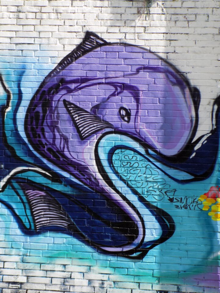 Sprayer wall painting colorful