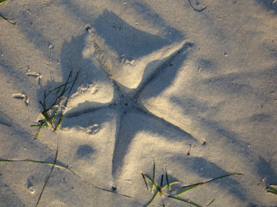 Vacations sand water