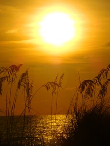 Sky nature beach photo