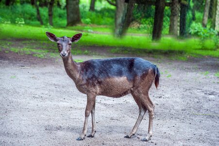 Nature animal world close up