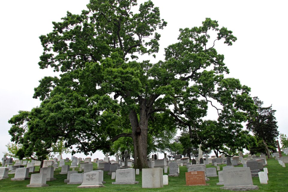 Memorial headstone landmark