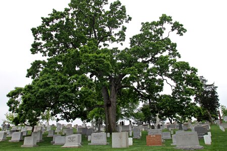 Memorial headstone landmark