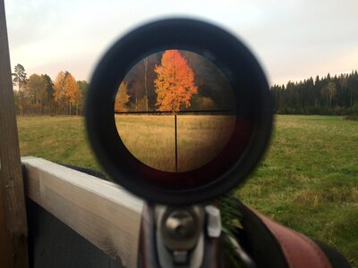Focus shooting weapons