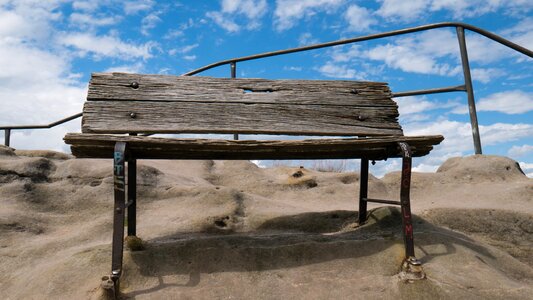 Wooden bench forest serenity