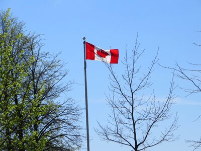 Canada flag canada photo