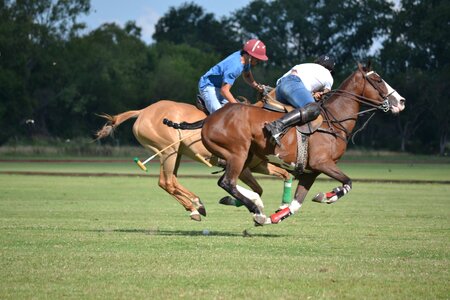 Club san jorge city of hurlingham jockey