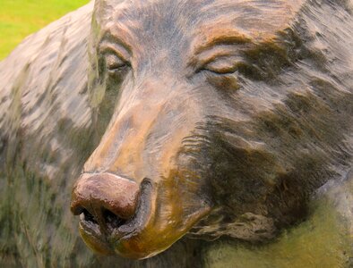 Sculpture bear