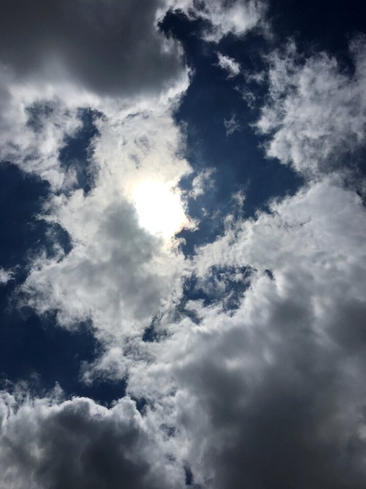 Blue sky summer day