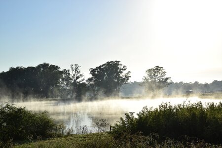 Landscape mist photo