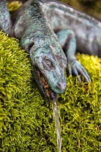 Water feature dragon iguana