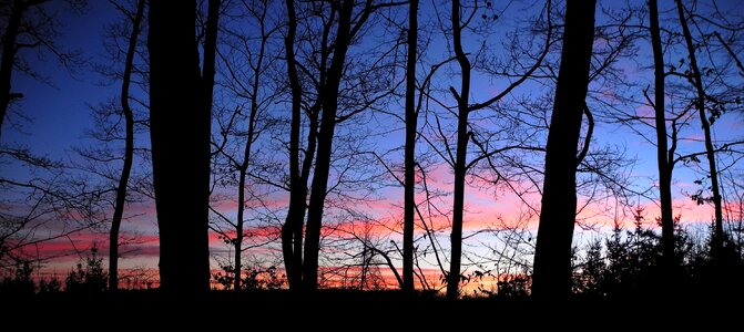Dawn evening silhouettes