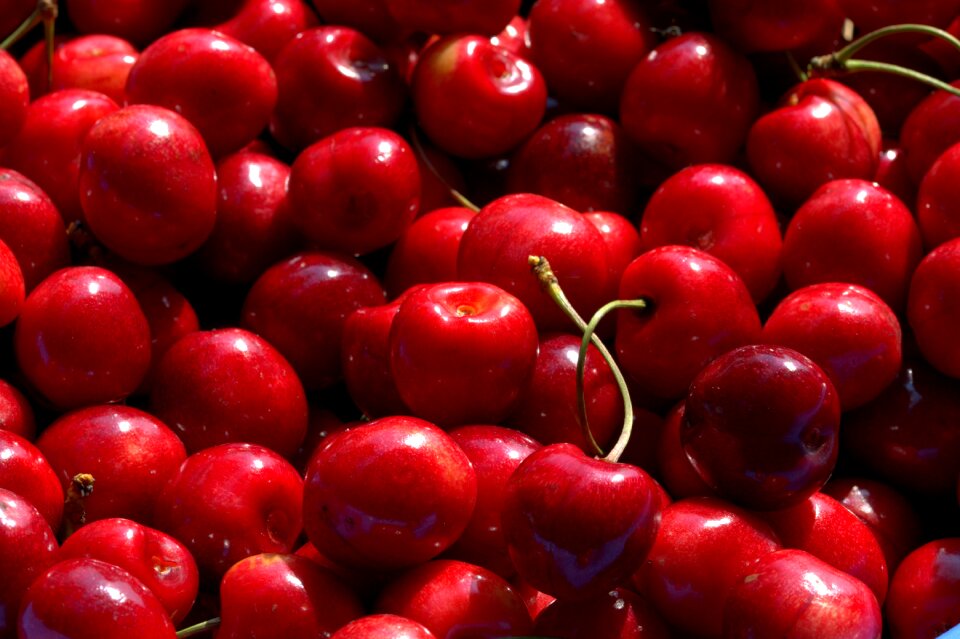 Roses sweet cherries sweet