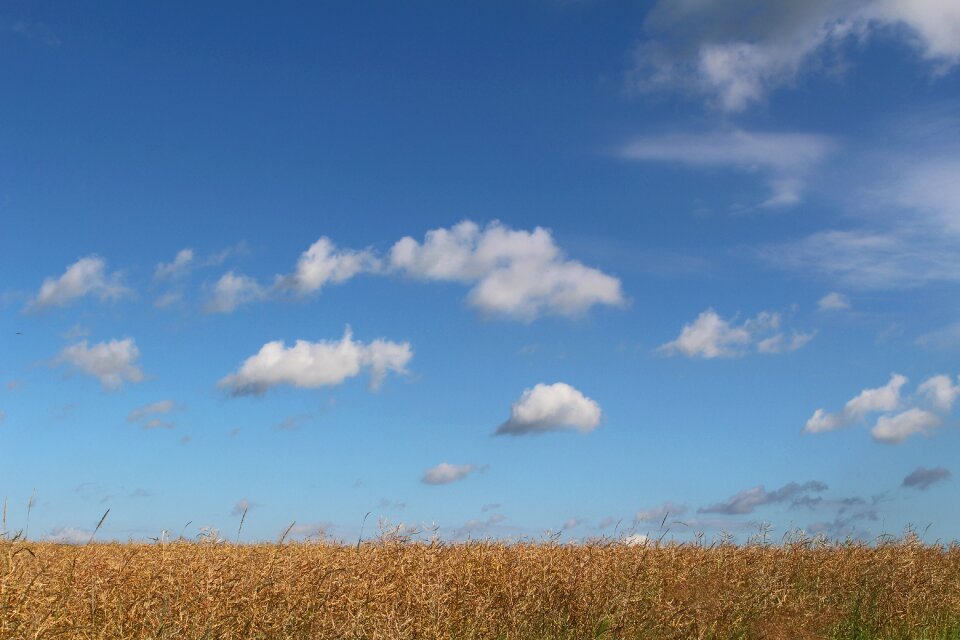 Blue sky clouds summer clouds