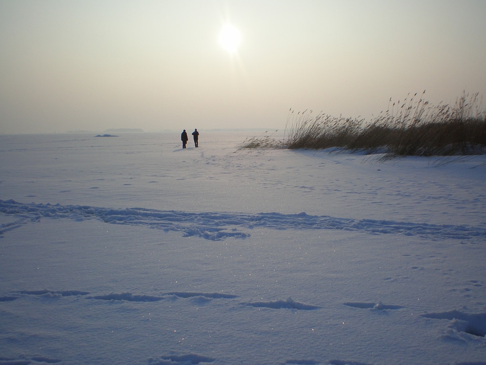 Island of usedom backlighting sun