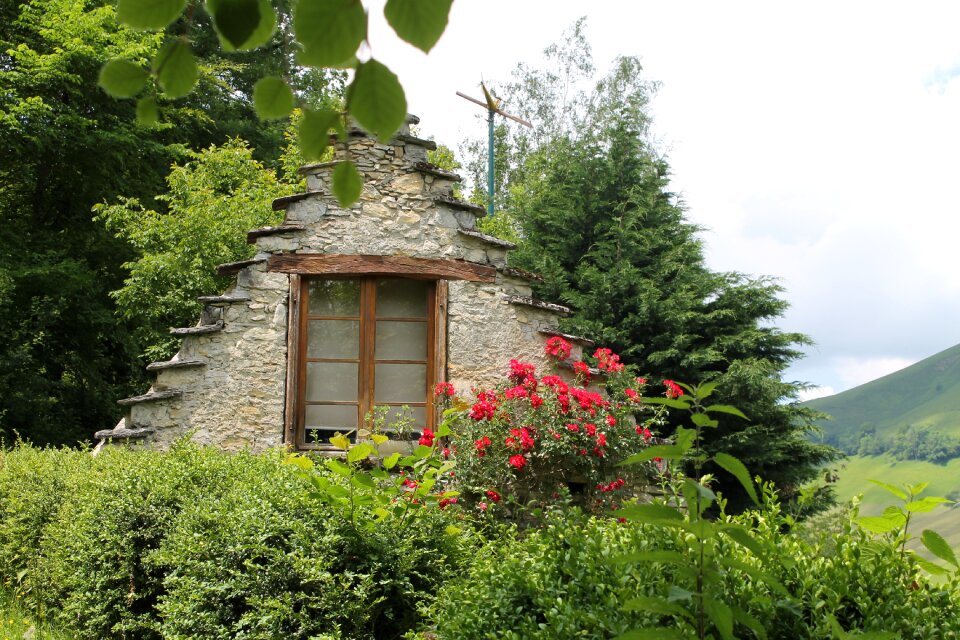 Nature facade architecture