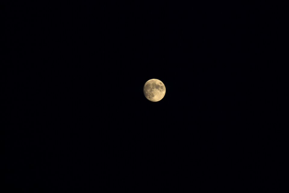 Full moon black naechlich