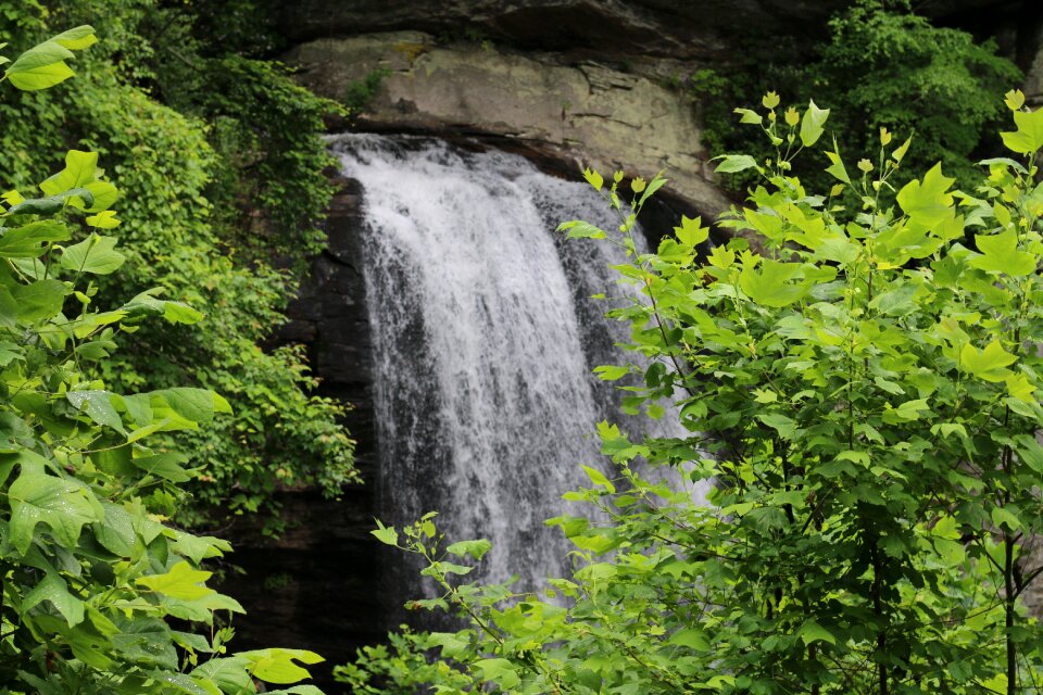 Green green waterfall
