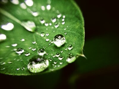 Raindrop drop of water nature