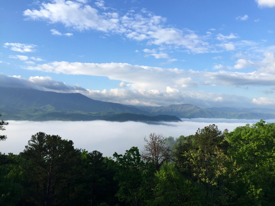 Landscape outdoor mist photo