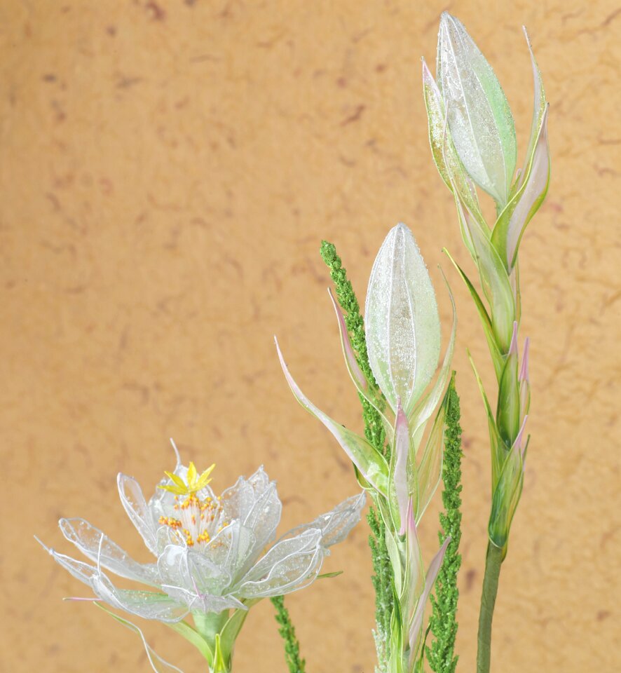 Bouquet arrangement decorative