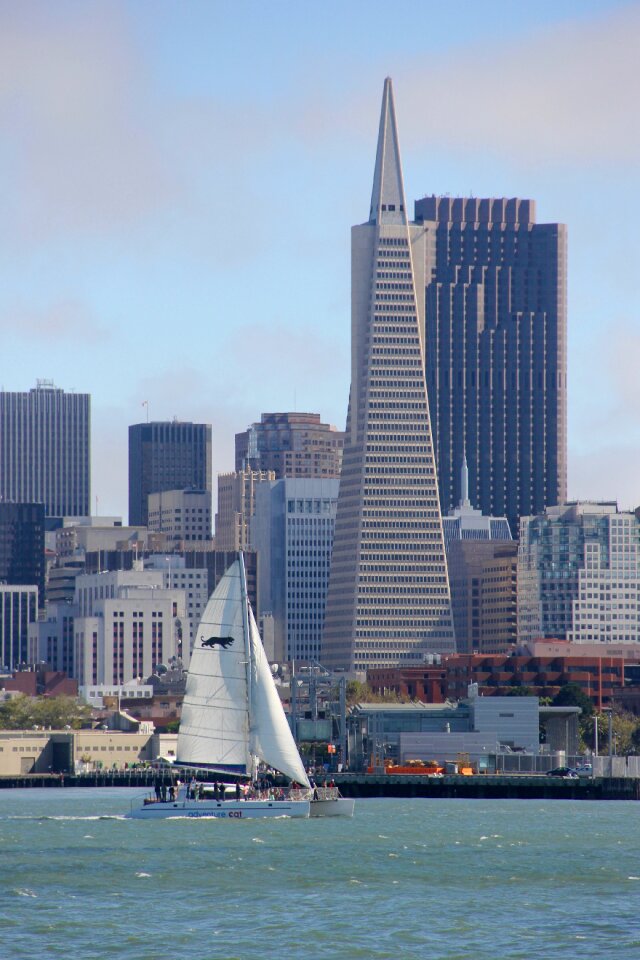 Sailboat san francisco skyline california