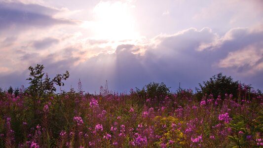 Backlighting nature landscape