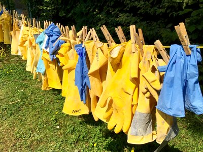 Gloves yellow blue