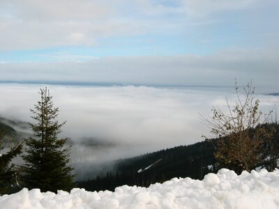 Selva marine snow foresight
