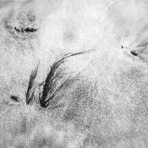 Beach grass structure