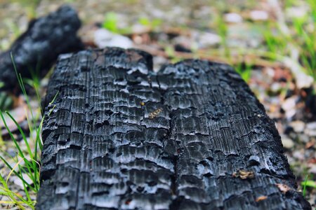 Firewood structure black