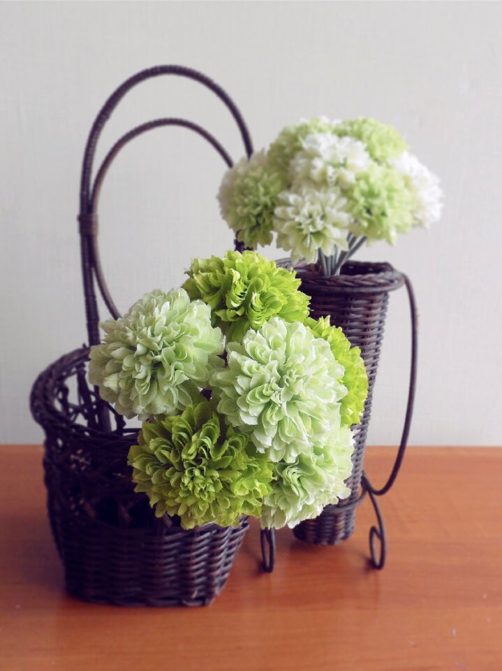 Bloom accessories