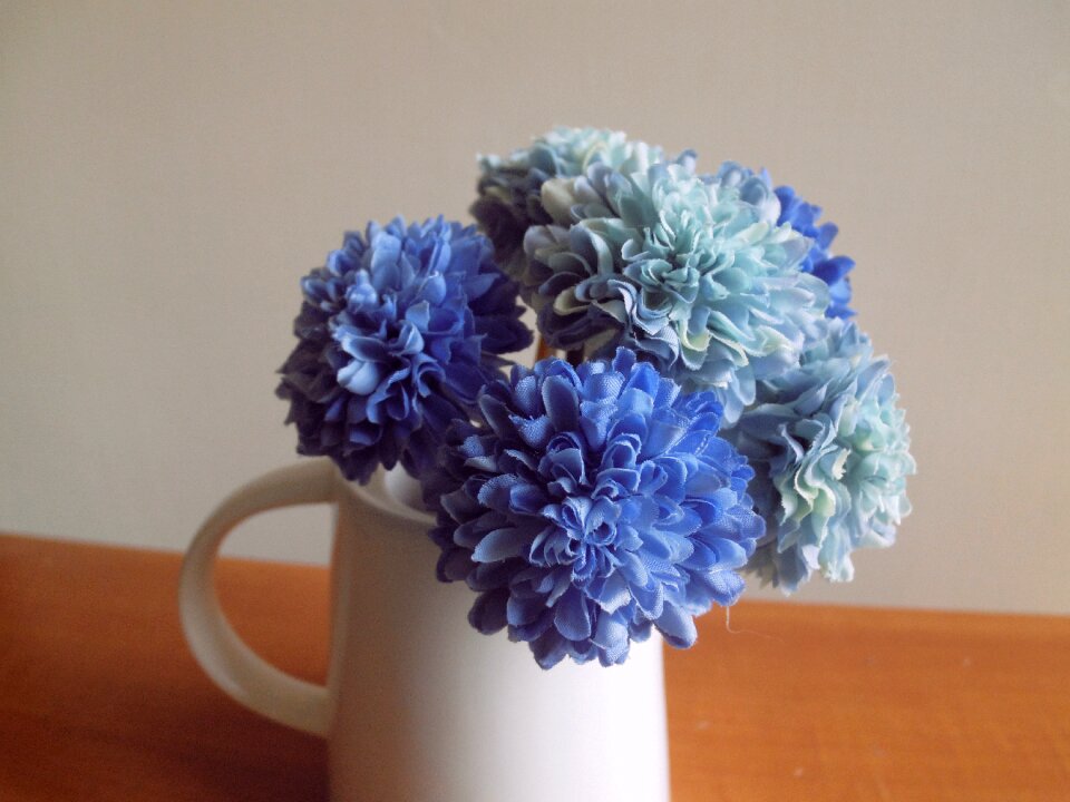 Bloom accessories