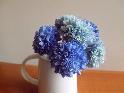 Bloom accessories