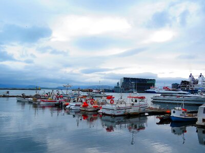 Reykjavik port harpa photo