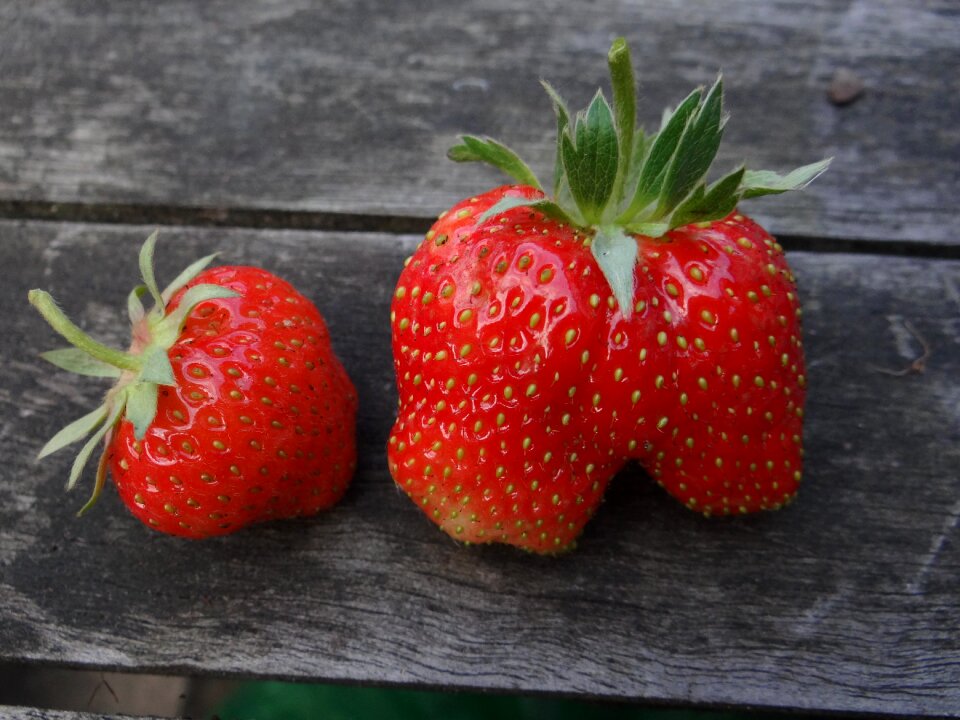 Fresh ripe dessert