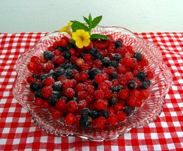 Red black fruit