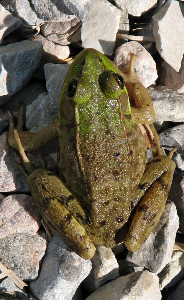 Ontario canada