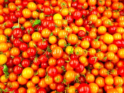 Tomato fresh