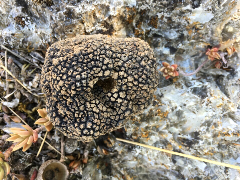 Nature stone sicily