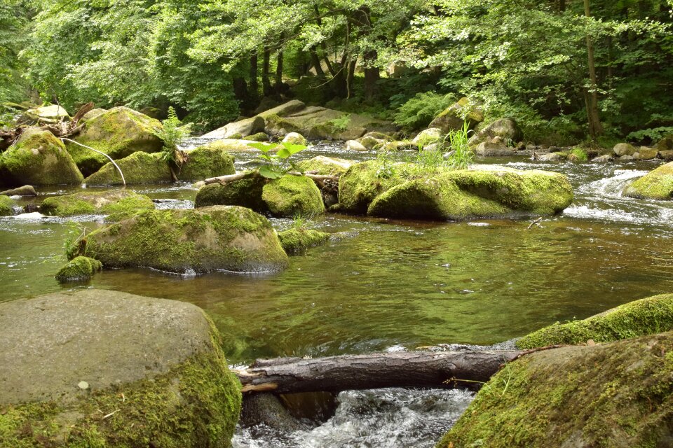 Stones idyllic mood