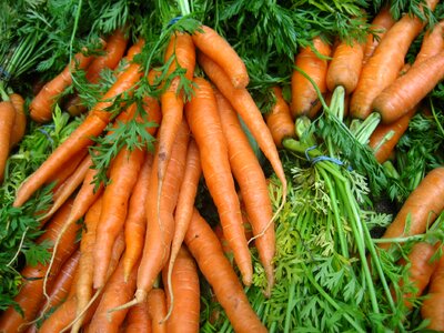 Vegetable organic