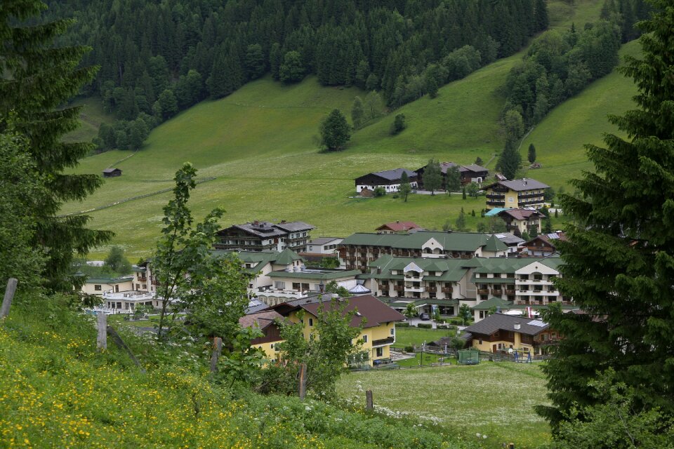 Landscape nature alpine
