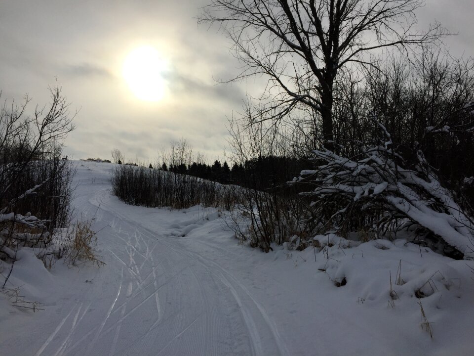Ski trail winter sunset snow scene