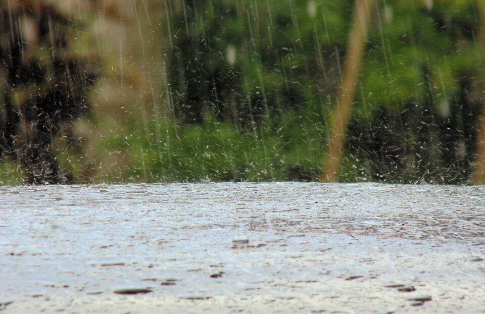 Rainy climate drops