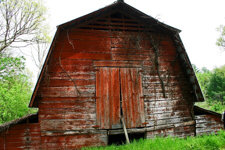 Wood rustic countryside photo