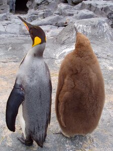 Parent child zoo aquarium