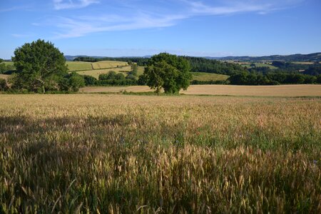Epi nature france