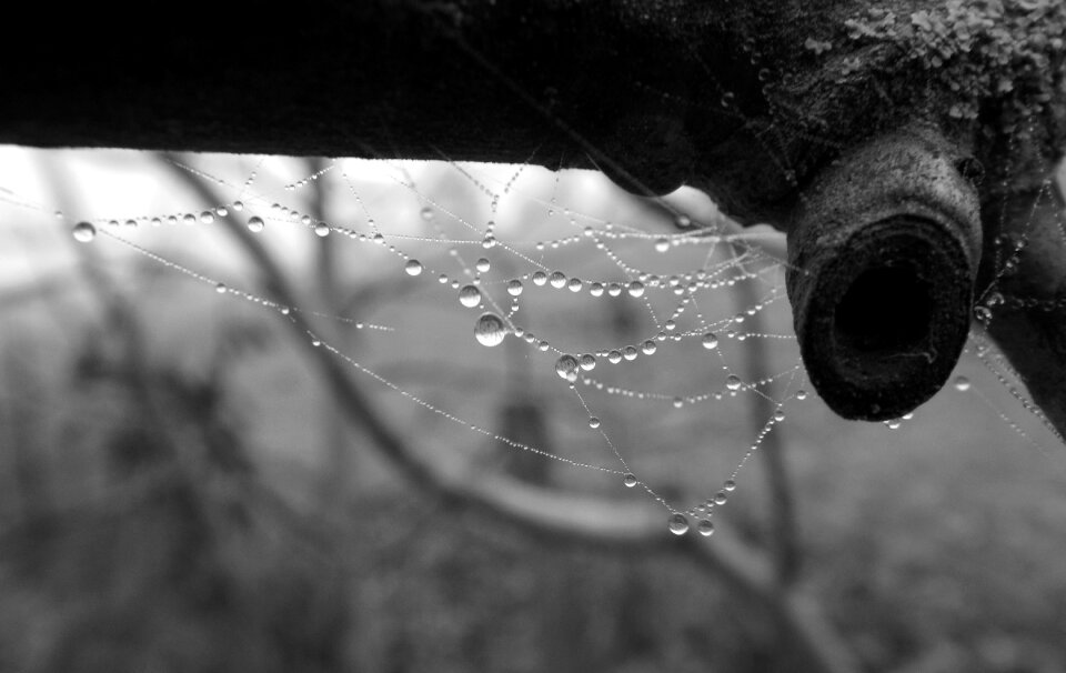 Atmosphere mood morning