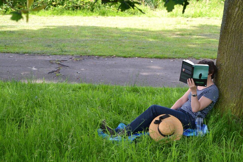 Literature summer nature