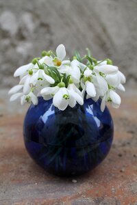 Spring floral